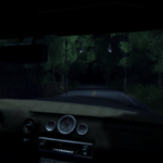 Private Eye Driving at Night